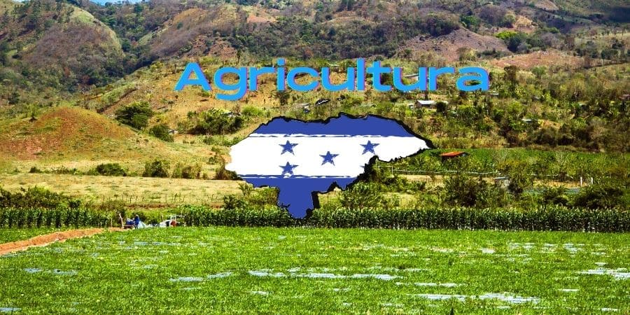 Agricultura en Honduras